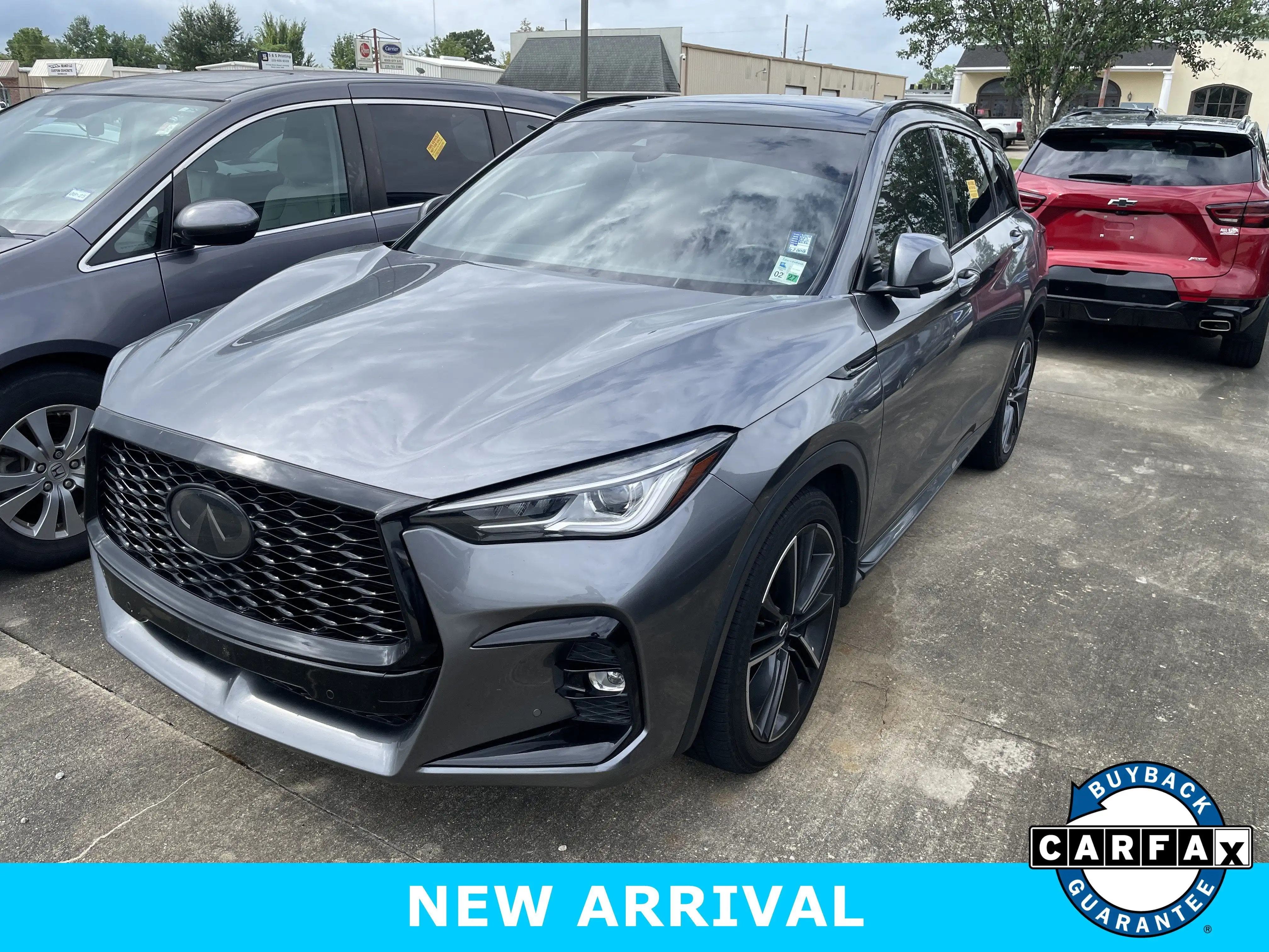 2023 INFINITI QX50 Sport FWD's photo