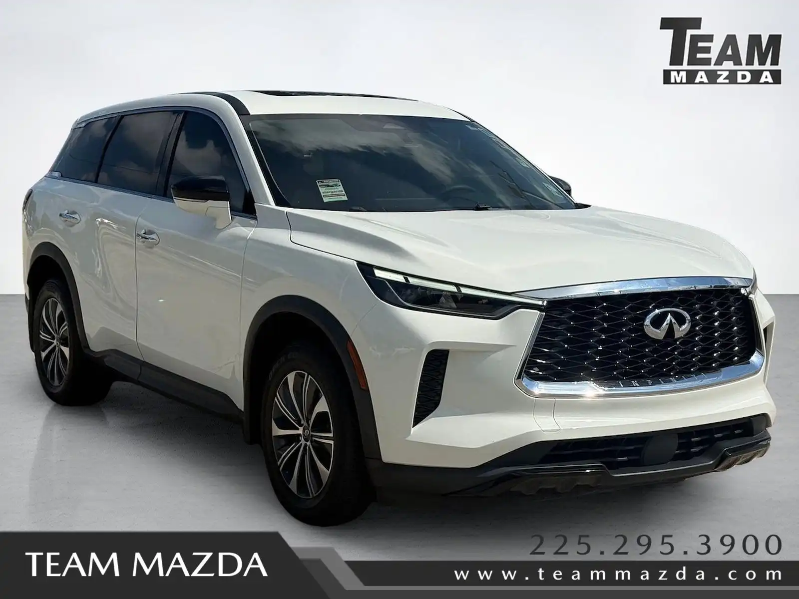 2023 INFINITI QX60 PURE's photo