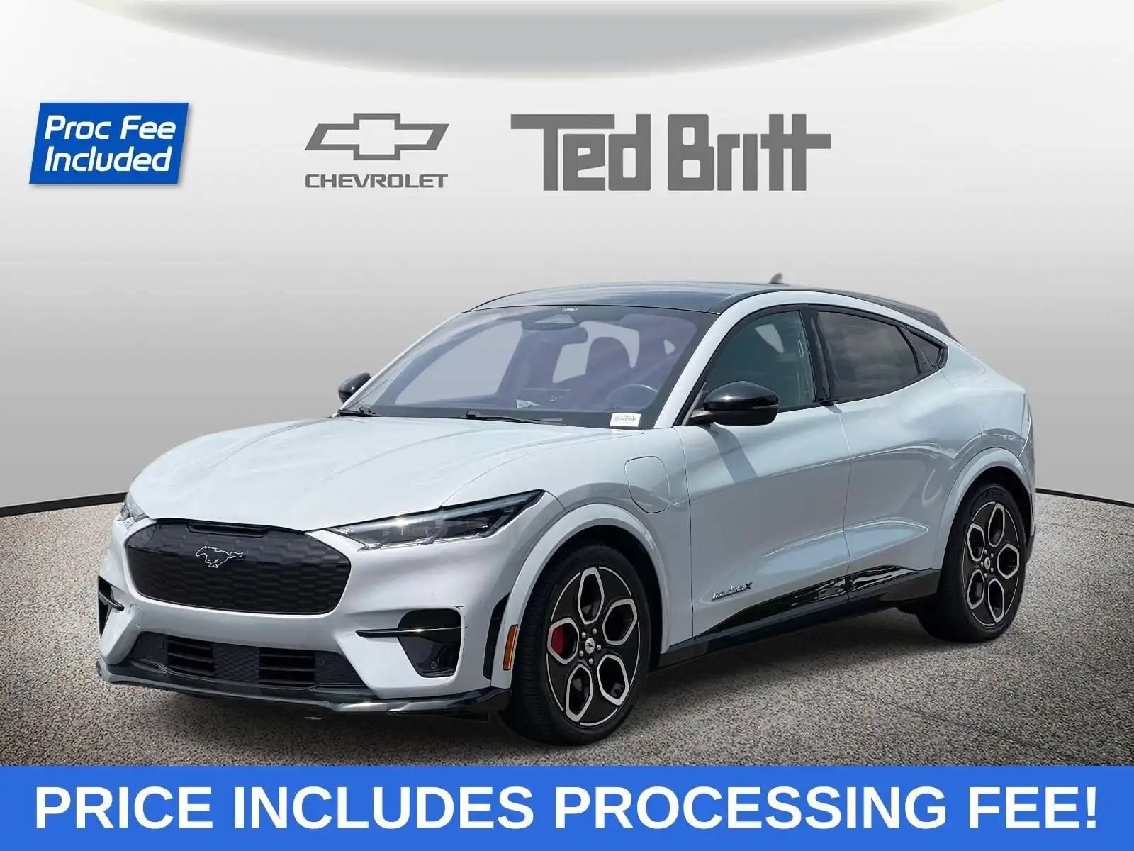 2021 Ford Mustang-Mach-e GT's photo