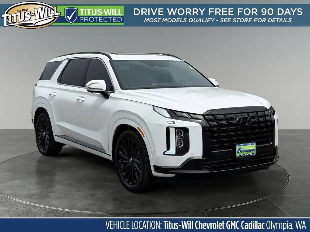 2025 Hyundai Palisade Calligraphy Night Edition AWD's photo