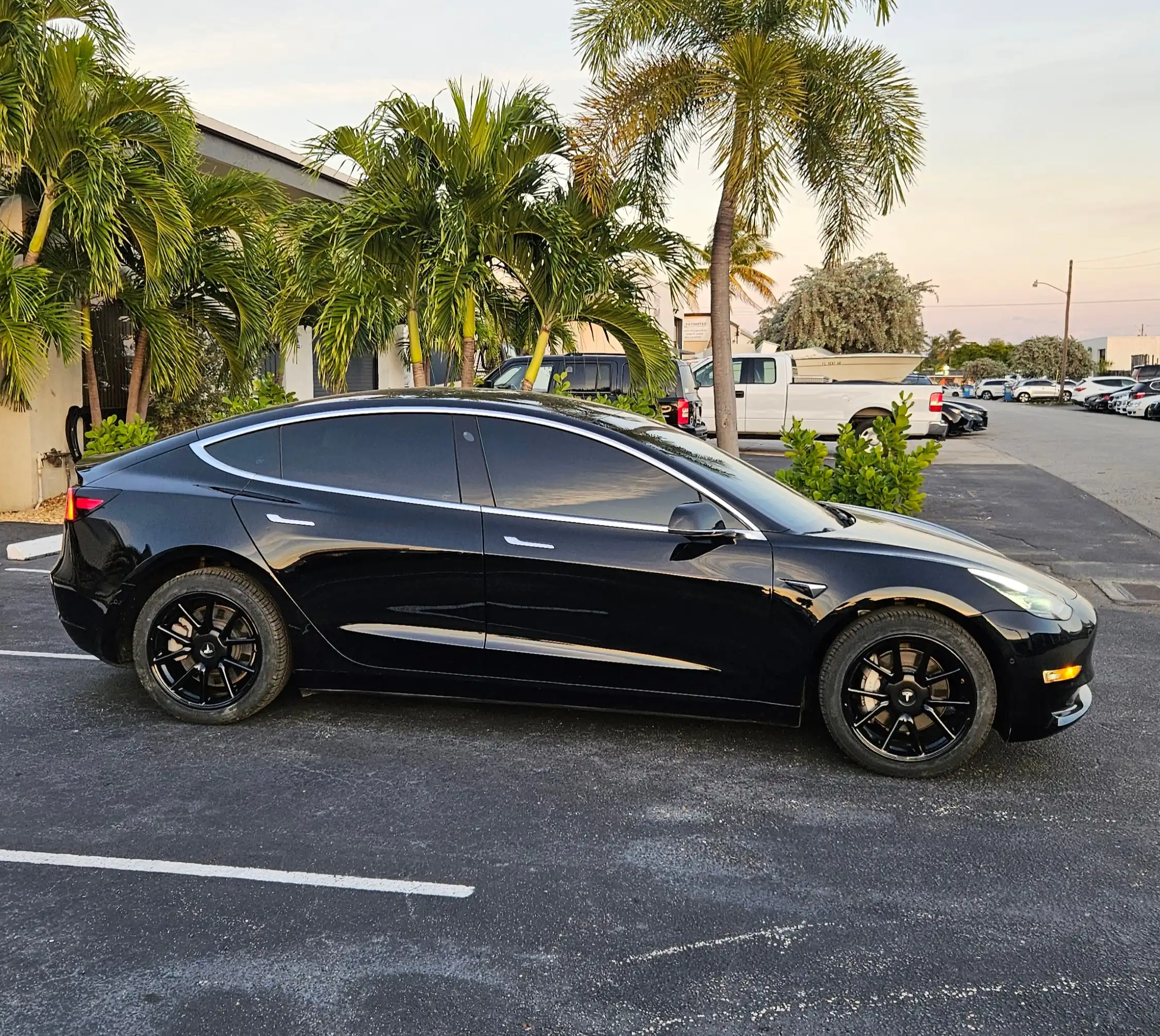 2019 Tesla Model 3 Standard Range Plus's photo