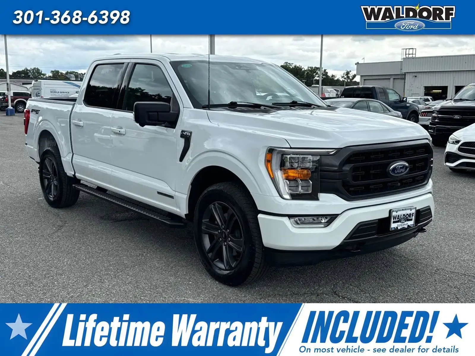 2023 Ford F-150 XLT 4WD SuperCrew 5-1/2' Box's photo
