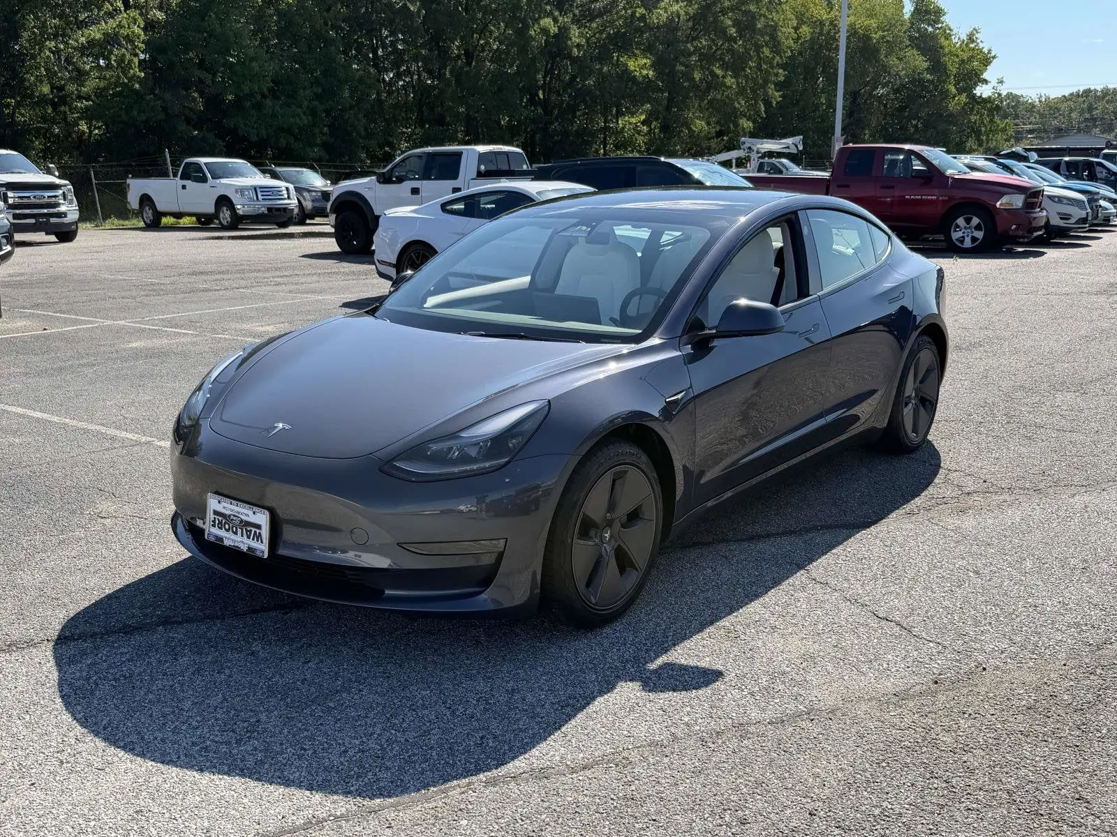 2023 Tesla Model 3 Base photo 5