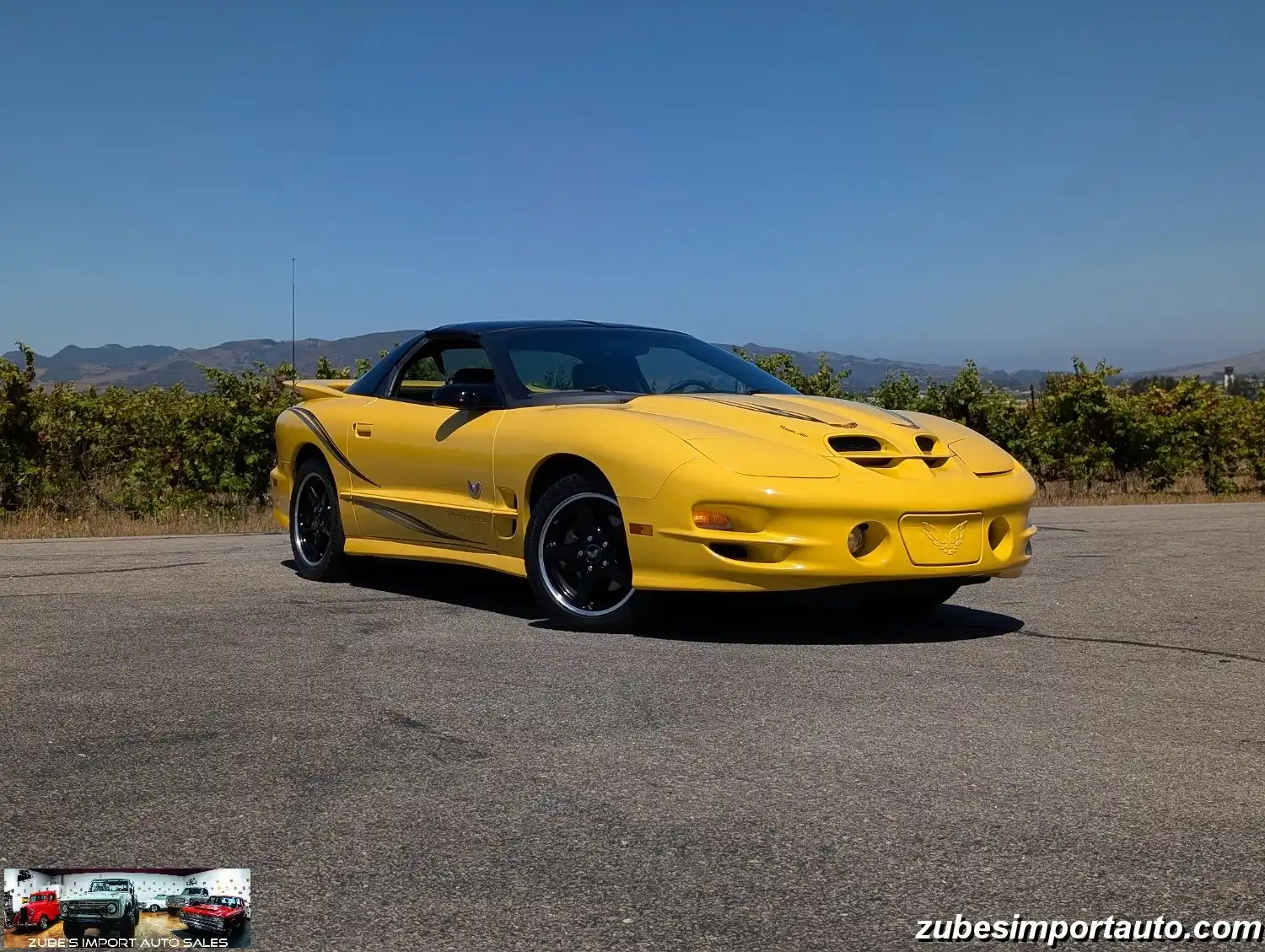 2002 Pontiac Firebird Trans Am's photo